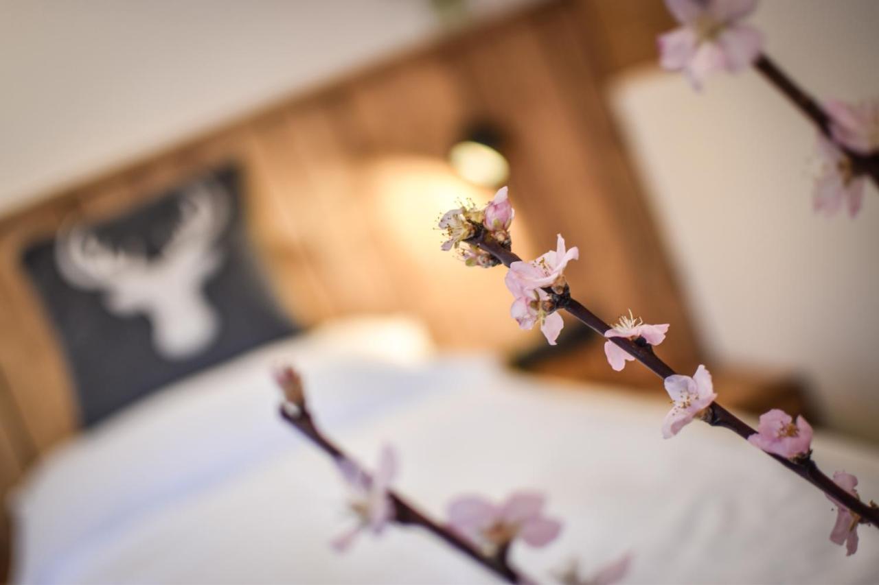 Luxx Lodges - Holzgau - Lechtal - Arlberg Luaran gambar